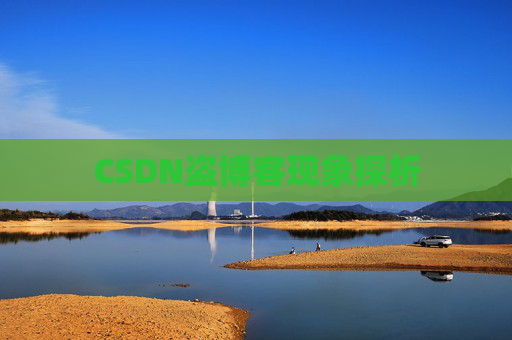 CSDN盗博客现象探析